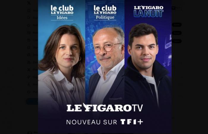 TF1+ sigue creciendo con la integración del canal Figaro TV y sus contenidos