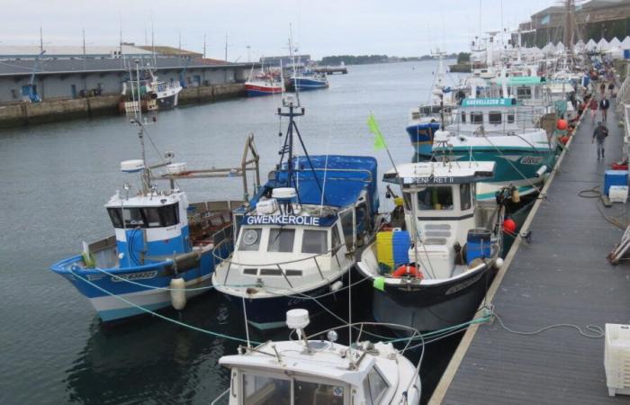 Lo que sabemos sobre la búsqueda en el puerto de Lorient en el marco de un acuerdo con Omán