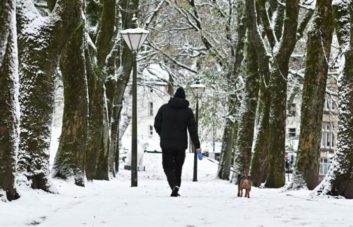 Los primeros restos de nieve llegan más tarde de lo habitual a Quebec