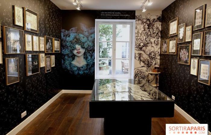 Benjamin Lacombe presenta “Papillon Noir”, la exposición gratuita en la Galerie Gallimard, nuestras fotos