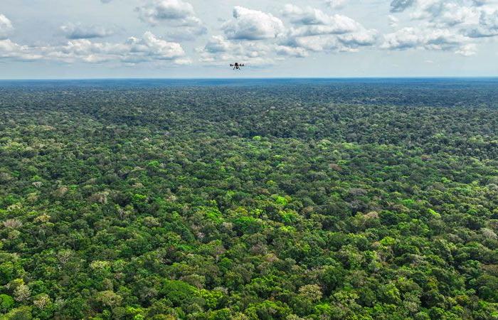 Resultados del concurso XPRIZE Rainforest: ¡el equipo brasileño premiado!