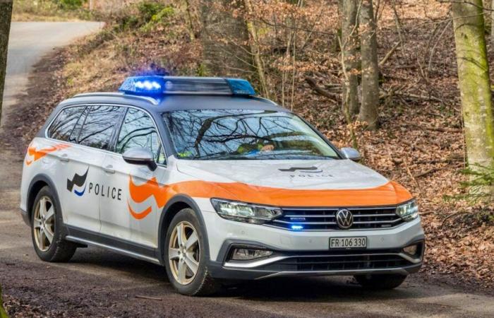 Friburgo: huye de un control y choca contra el coche de policía