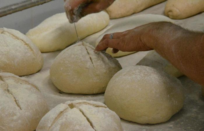 Un laboratorio de panadería y pastelería cerrado urgentemente por la prefectura de Vendée