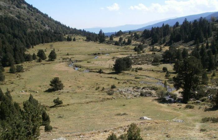 Montbel. Brice, un pastor que ataca los Pirineos