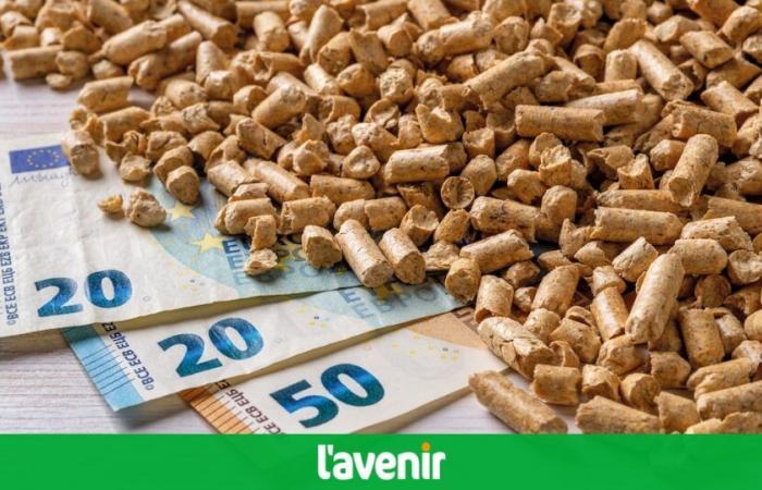 A pesar de la llegada del invierno, el precio del pellet sigue siendo bajo, mientras que el metro cúbico de madera sigue siendo igual de caro en Bélgica (infografía)