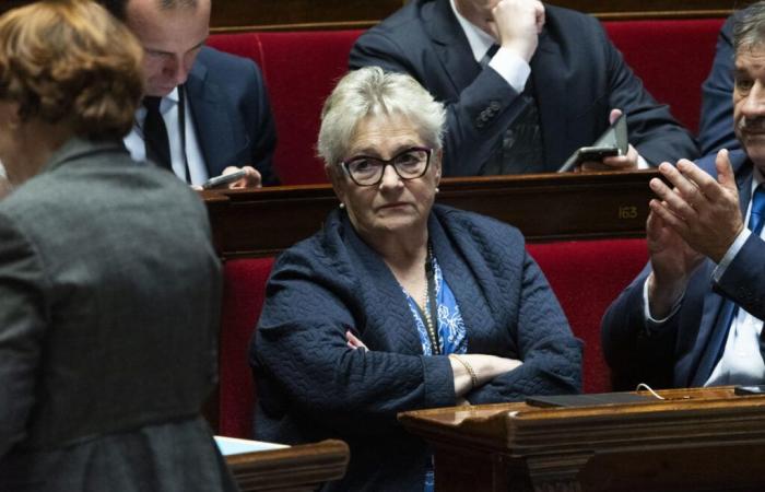 “A nuestros 64 años todavía estamos en buena forma física”, la diputada de LR Eliane Kremer sorprende a la Asamblea Nacional