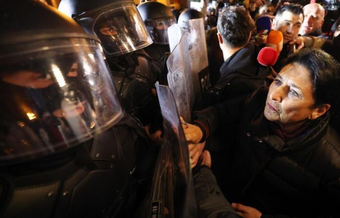 La policía lanza gases lacrimógenos contra manifestantes pro-UE