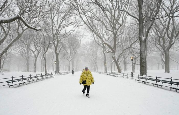 Advertencias de clima invernal en 8 estados debido a que caerán 12 pulgadas de nieve