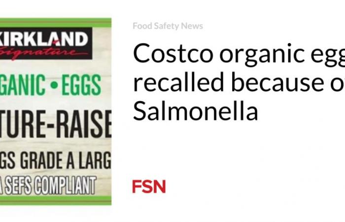 Retiran huevos orgánicos de Costco por Salmonella