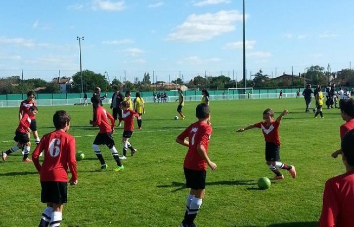 Presupuesto 2025: en Toulouse, las subvenciones a los clubes y asociaciones deportivas disminuirán entre un 20 y un 40%