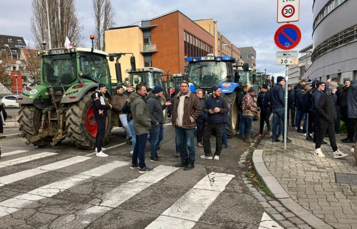 Los agricultores están hartos de la “burocracia”