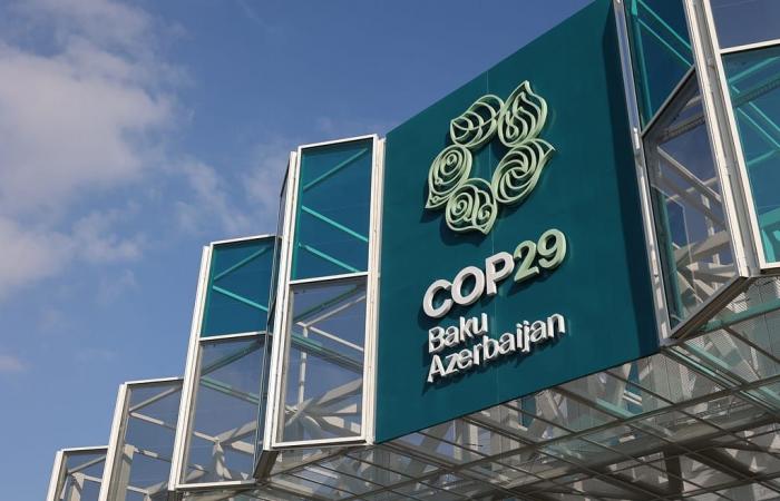 COP29 en Bakú: ¿qué resultados?