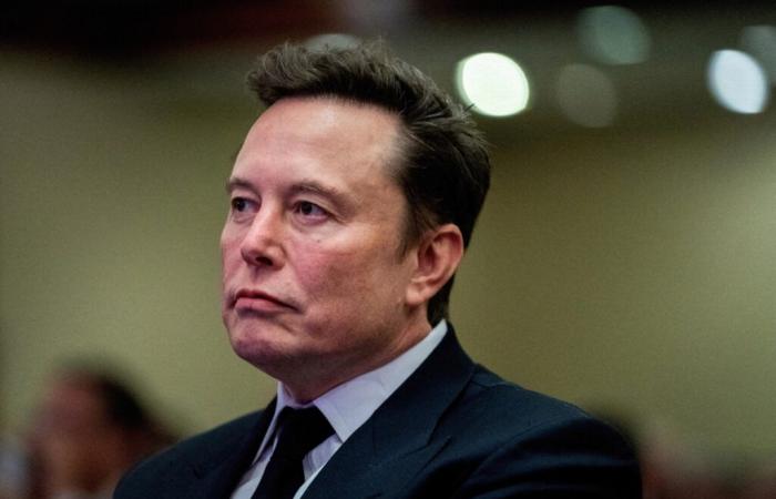 Elon Musk apunta públicamente a los funcionarios que quiere despedir