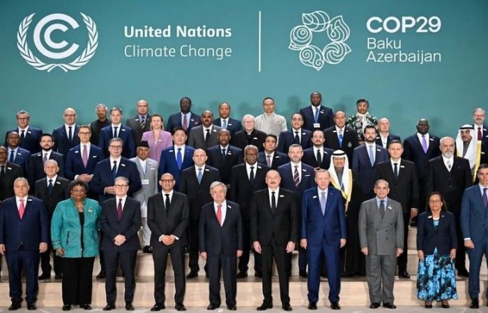 COP29 en Bakú: Grandes decisiones para la lucha contra el cambio climático y la transición justa – VivAfrik