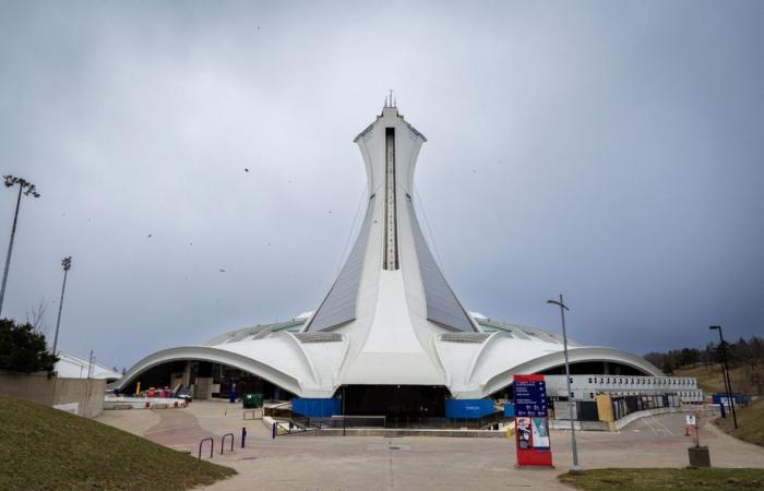 El Estadio Olímpico hackeado | La prensa