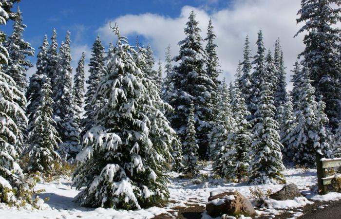 A los 20 años, un excursionista sobrevive más de un mes solo en la naturaleza a -20°C