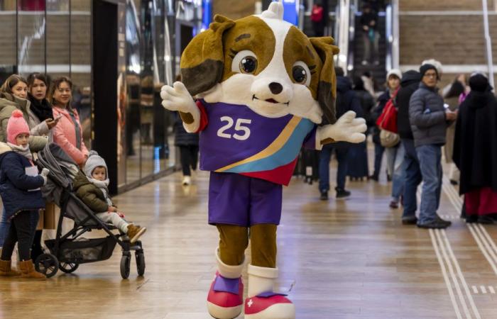 Maddli, un cachorro de San Bernardo, mascota de la Eurocopa femenina en Suiza