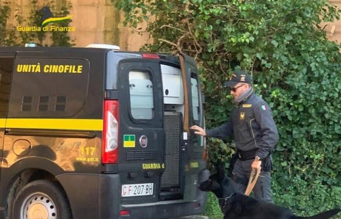 Roma, doble golpe al narcotráfico de la Guardia di Finanza: incautados más de 55 kilos de cocaína y hachís