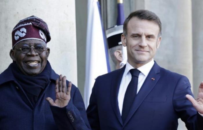 Nigeria y Francia se esfuerzan por fortalecer su cooperación económica: Noticias