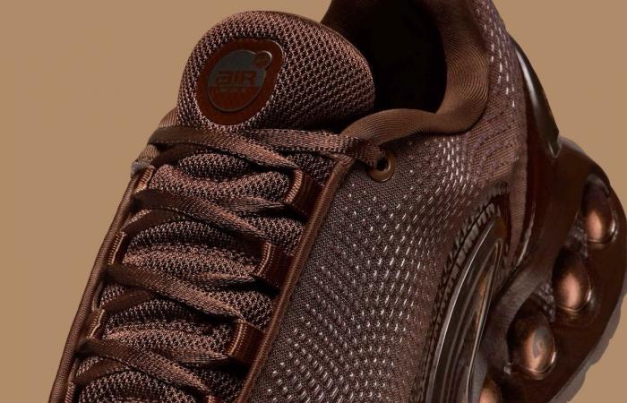 Nike Air Max Dn Chocolate claro HQ3837-200