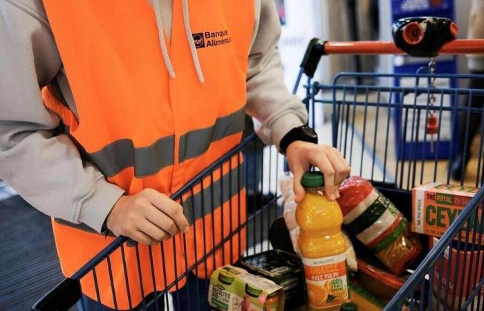 Seis camiones del Banco de Alimentos fueron incendiados en Nimes, por valor de casi 500.000 euros