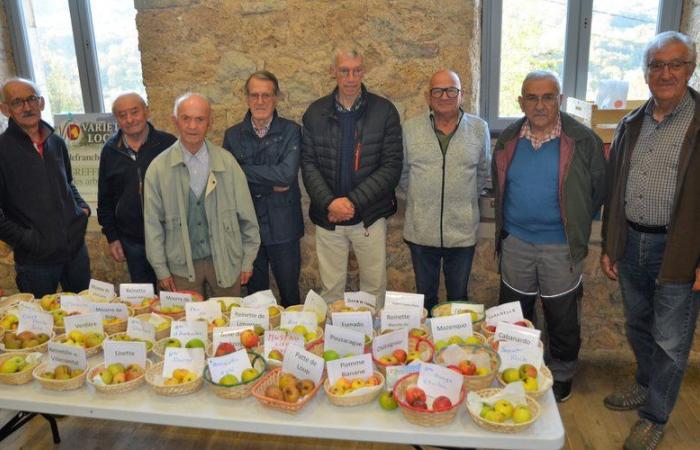 Salles-la-Source. Hacia un libro sobre los frutos de Aveyron con variedades locales 12