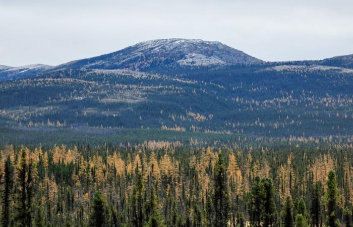 Creación del Parque Nacional Nibiischii | Se protegerá el lago natural más grande de Quebec