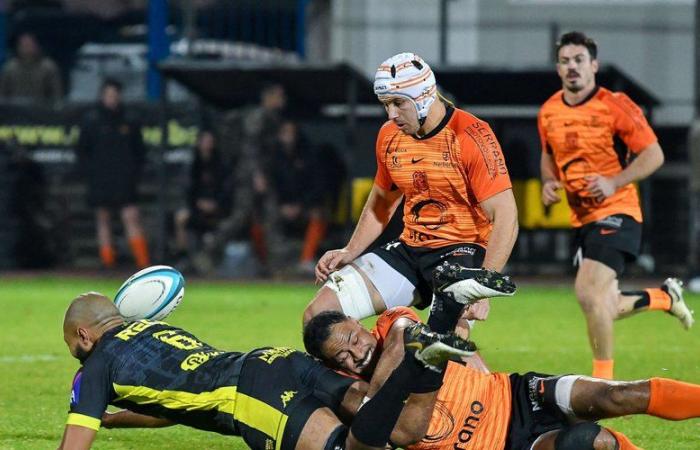 Rugby – Derby Carcasona-Narbona en Nacional: “Como Thibault Clauzade, un defensa imperial del RCN”, lanza el técnico de Narbona, Julien Seron, tras la victoria