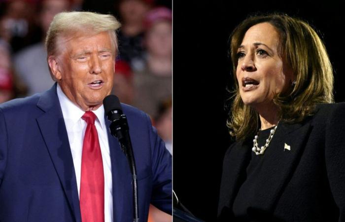 Elecciones presidenciales de Estados Unidos: ¿cuánto se ha reducido la brecha entre Donald Trump y Kamala Harris en los últimos días?