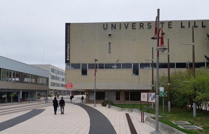 Ante la falta de apoyo del Estado, la Universidad de Lille organiza una “jornada universitaria muerta” el martes 3 de diciembre