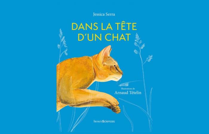 El primer libro sobre la etología de los gatos ⋆ Savoir Animal