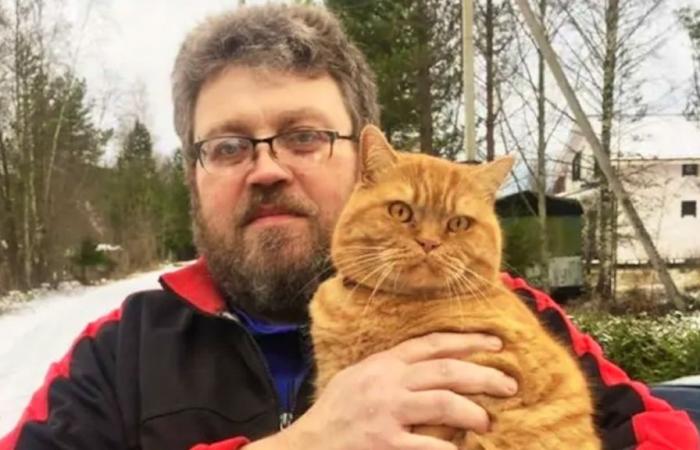 Rusia: Un hombre de 50 años muere arañado por su gato