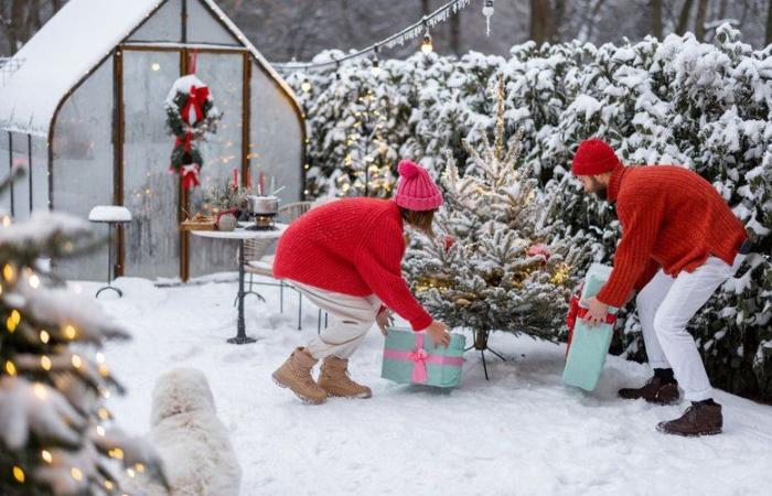 ¿Habrá nieve en Navidad en Francia este año? Descubra las tendencias meteorológicas más probables para el 24 y 25 de diciembre