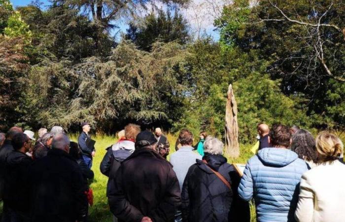 El nuevo parque del profesor Auvigne toma forma