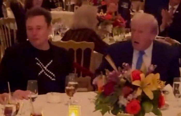 Musk se une a Trump y su familia para el Día de Acción de Gracias en Mar-a-Lago