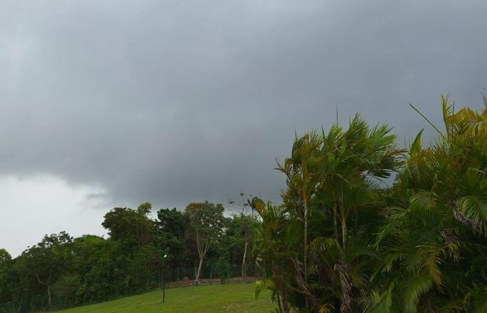 En Guyana ya está aquí la corta temporada de lluvias