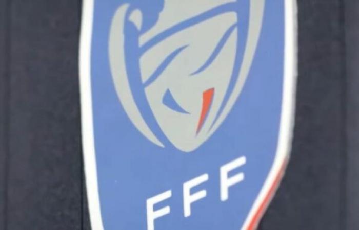 [Coupe de France] ¡El Stade Briochin derriba a Saint-Malo, La Roche Vendée se clasifica para un club nacional!