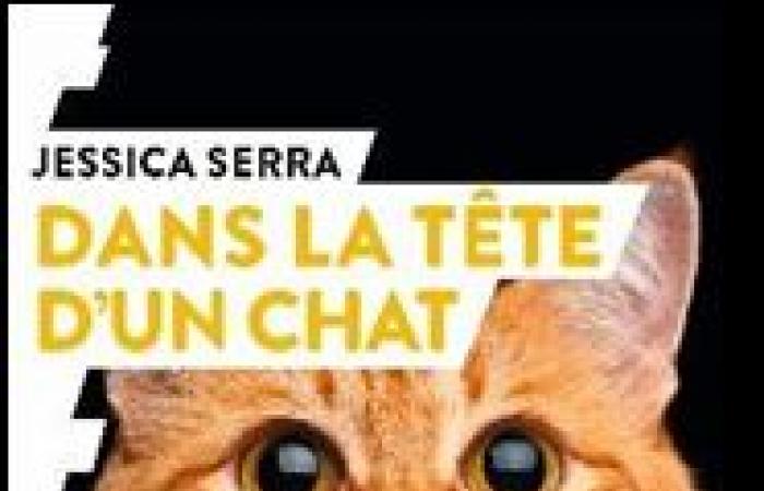 El primer libro sobre la etología de los gatos ⋆ Savoir Animal