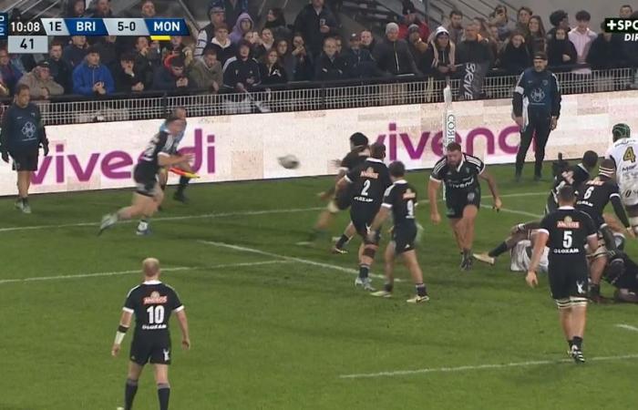 Pro D2 Brive – Montauban: resumen del partido