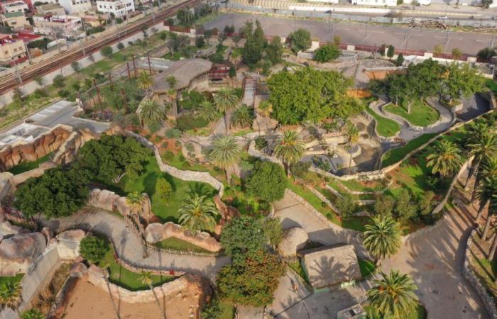 el esperado regreso del parque zoológico de Aïn Sebaa previsto para junio de 2025