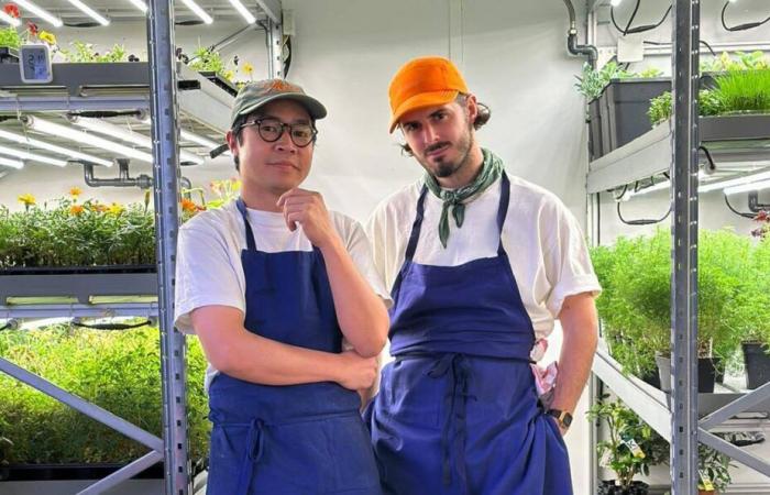 Aquí está el mejor lugar para tomar un kebab en París este fin de semana