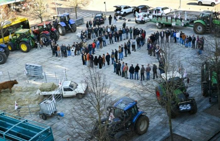 Agricultores: FNSEA aumenta las apuestas, prefiere la “estabilidad” del gobierno – 29/11/2024 a las 18:21