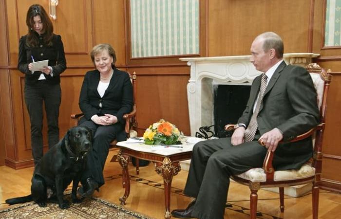 17 años después, Putin recuerda el momento en que asustó a Merkel con su perro