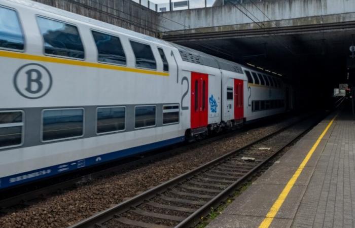 Retrasos y cancelaciones, la red SNCB interrumpida en todo el país: “Aconsejamos a los viajeros que estén atentos”