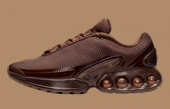 Nike Air Max Dn Chocolate claro HQ3837-200