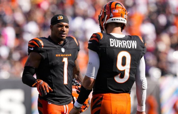 Bengals de Cincinnati | Anatomía de una caída.