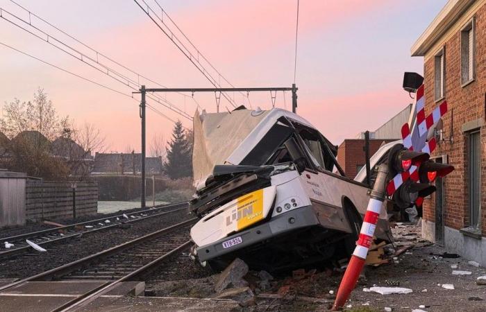 Las imágenes muestran cómo un autobús de De Lijn es embestido por un tren: “Veinte niños a bordo, el conductor ha evitado una catástrofe” (Zedelgem)