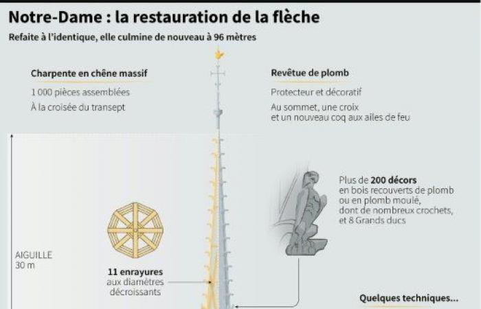 La “brillantez” redescubierta de Notre-Dame revelada al mundo: Noticias