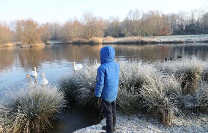 De -5°C a casi 25°C: un viernes entre heladas matinales en el noreste y calor en el suroeste