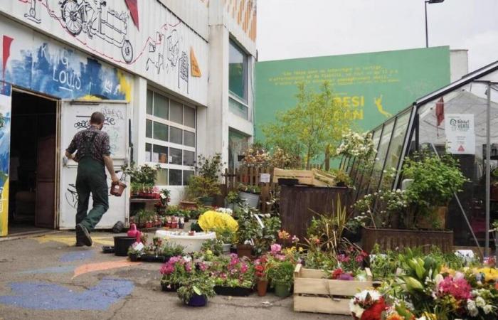 El Brocante Verde, en Nantes, acaba de ser premiado